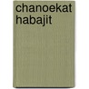 Chanoekat habajit by Dan Greenberg