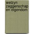Welzyn zeggenschap en eigendom