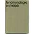 Fenomenologie en kritiek