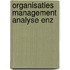 Organisaties management analyse enz
