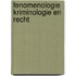 Fenomenologie kriminologie en recht