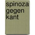 Spinoza gegen kant