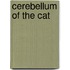 Cerebellum of the cat
