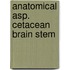 Anatomical asp. cetacean brain stem