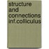 Structure and connections inf.colliculus