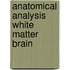 Anatomical analysis white matter brain