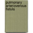 Pulmonary arteriovenous fistula