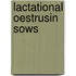 Lactational oestrusin sows