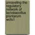 Unraveling the regulatory network of Lactobaccillus plantarum WCFS1