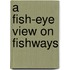 A fish-eye view on fishways