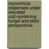 Mycorrhizal responses under elevated CO2-combining fungal and plant perspectives door O. Alberton