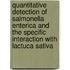 Quantitative detection of Salmonella enterica and the specific interaction with Lactuca sativa