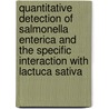 Quantitative detection of Salmonella enterica and the specific interaction with Lactuca sativa door M.M. Klerks