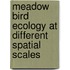 Meadow bird ecology at different spatial scales