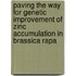 Paving the way for genetic improvement of zinc accumulation in Brassica rapa