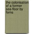 The colonisation of a former sea-floor by ferns