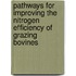 Pathways for improving the nitrogen efficiency of grazing bovines
