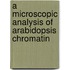 A microscopic analysis of Arabidopsis chromatin