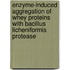 Enzyme-induced aggregation of whey proteins with Bacillus licheniformis protease
