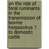 On the role of feral ruminants in the transmission of bovine herpesvirus 1 to domestic cattle