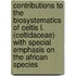 Contributions to the biosystematics of Celtis L. (Celtidaceae) with special emphasis on the African species