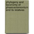Phylogeny and taxonomy of Phaeoacremonium and its relatives