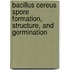 Bacillus cereus spore formation, structure, and germination