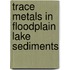 Trace metals in floodplain lake sediments