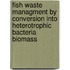 Fish waste managment by conversion into heterotrophic bacteria biomass