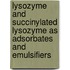 Lysozyme and succinylated lysozyme as adsorbates and emulsifiers