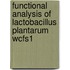 Functional analysis of Lactobacillus plantarum WCFS1