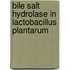 Bile salt hydrolase in Lactobacillus plantarum