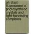 Ultrafast fluorescene of photosynthetic crystals and light-harvesting complexes