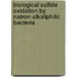 Biological sulfide oxidation by natron-alkaliphilic bacteria