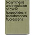 Biosynthesis and regulation of cyclic lipopeptides in Pseudomonas fluorescens