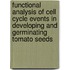 Functional analysis of cell cycle events in developing and germinating tomato seeds