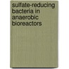 Sulfate-reducing bacteria in anaerobic bioreactors door S.J.W.H. Oude Elferink