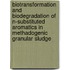 Biotransformation and biodegradation of N-substituted aromatics in methadogenic granular sludge