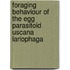 Foraging behaviour of the egg parasitoid uscana lariophaga