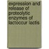 Expression and release of proteolytic enzymes of lactoccur lactis