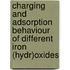 Charging and adsorption behaviour of different iron (hydr)oxides
