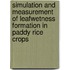 Simulation and measurement of leafwetness formation in paddy rice crops
