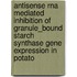 Antisense RNA mediated inhibition of granule_bound starch synthase gene expression in potato