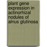 Plant gene expression in actinorhizal nodules of Alnus glutinosa door C. Guan