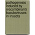 Pathogenesis induced by (recombinant) Baculoviruses in insects