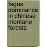 Fagus dominance in Chinese montane forests by K. Cao