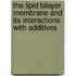 The lipid bilayer membrane and its interactions with additives