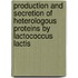 Production and secretion of heterologous proteins by Lactococcus lactis