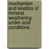 Mechanism and kinetics of mineral weathering under acid conditions
