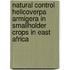 Natural control Helicoverpa armigera in smallholder crops in East Africa